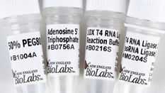 how long tobacco in system How Long Does Nicotine Stay In Your System? Tobacco Testing