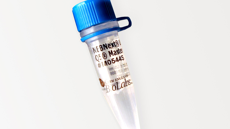 NEBNext® Q5® Hot Start HiFi PCR Master Mix | NEB