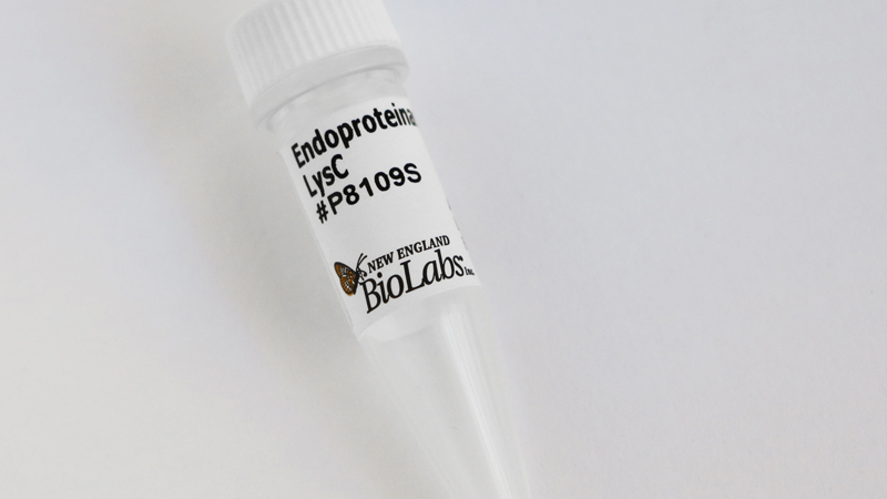 Endoproteinase LysC | NEB