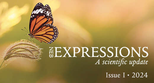 Expressions 2024 Issue 1
