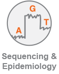 COVID_Sequencing_Category