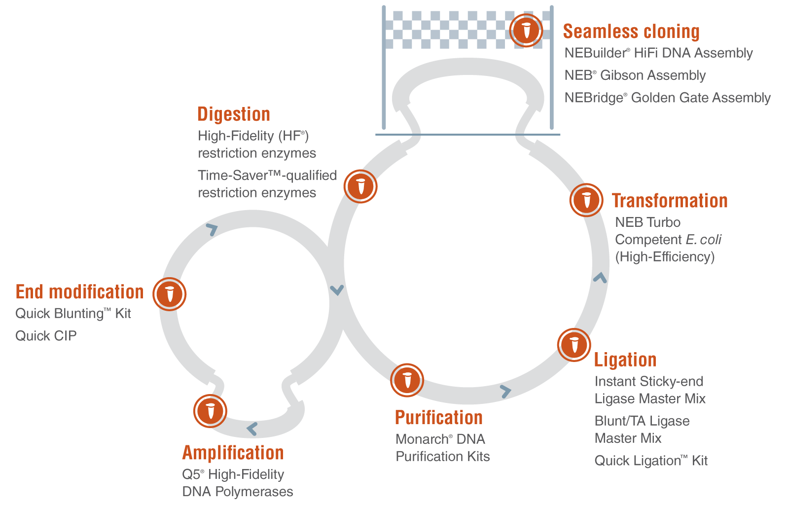 fastCloning_Race_Infographic_0218