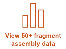 Golden Gate Assembly Workflow Diagram for complex assemblies