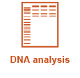 cloning_wf_DNAanalysis