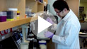 NewCloning_LigationConditions_video