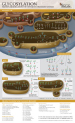 glycobiology_poster_miniThumb