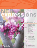 Expressions_IssueI_2018