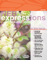 Expressions_IssueII_2018