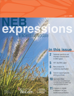 Expressions_IssueIII_2016