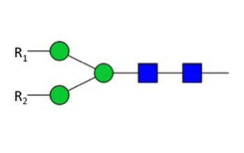 Specificity of PNGase F