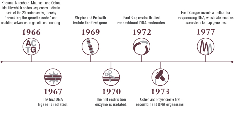 *Created referencing the National Science Teaching Association’s “Cloning Timeline”.