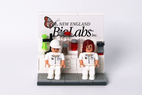 NEB Lego lab