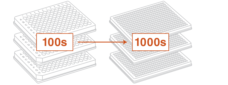 Workflow for NEBuilder HiFi DNA Assembly