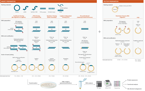 Image of Cloning Workflows