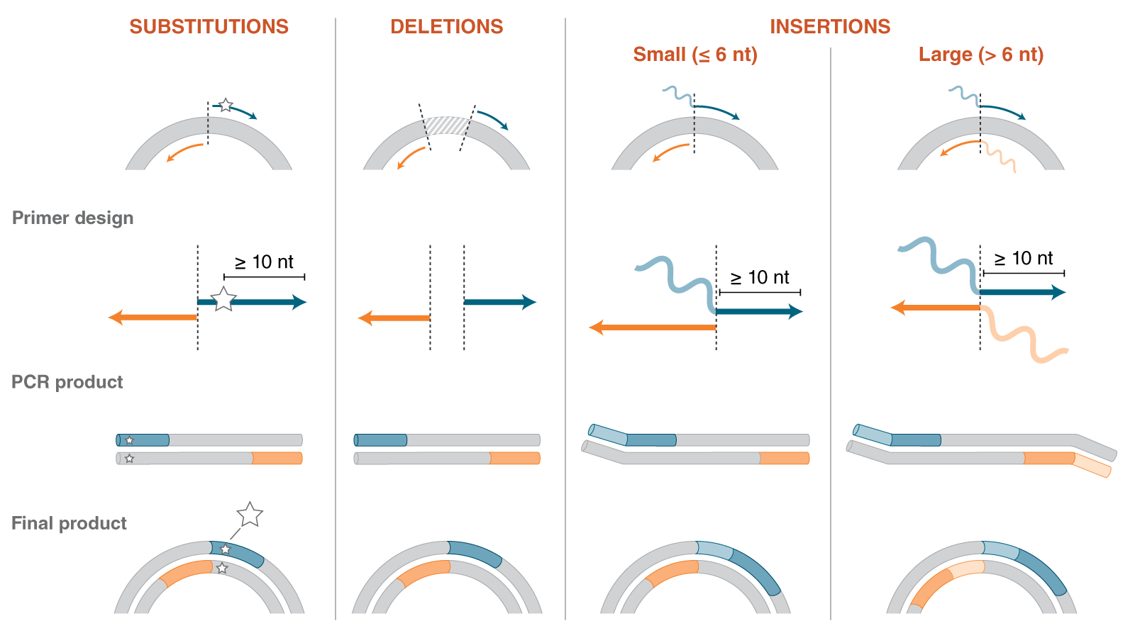 Image of primer design