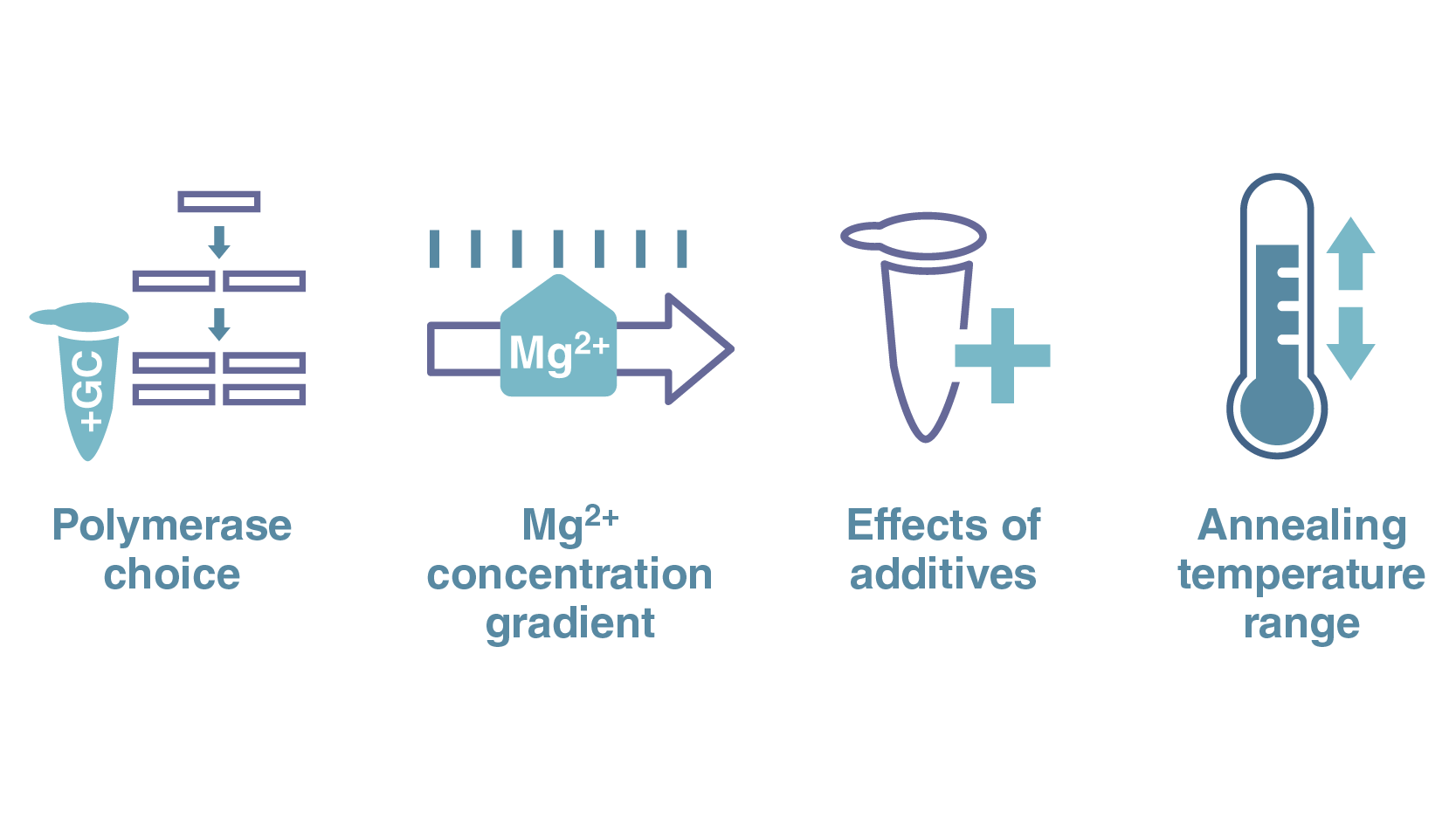 Four tips for PCR amplification of GCrich sequences NEB