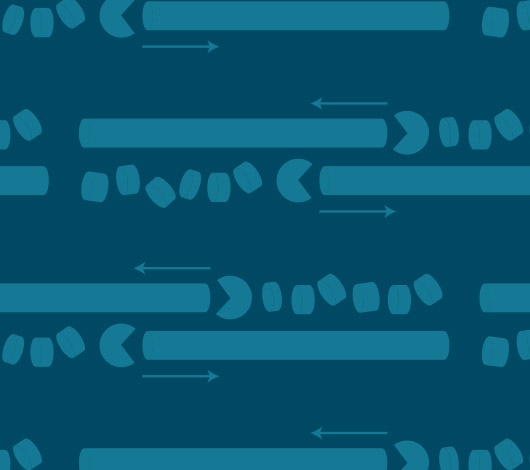 Repeating graphic of exonucleases digesting nucleic acid.
