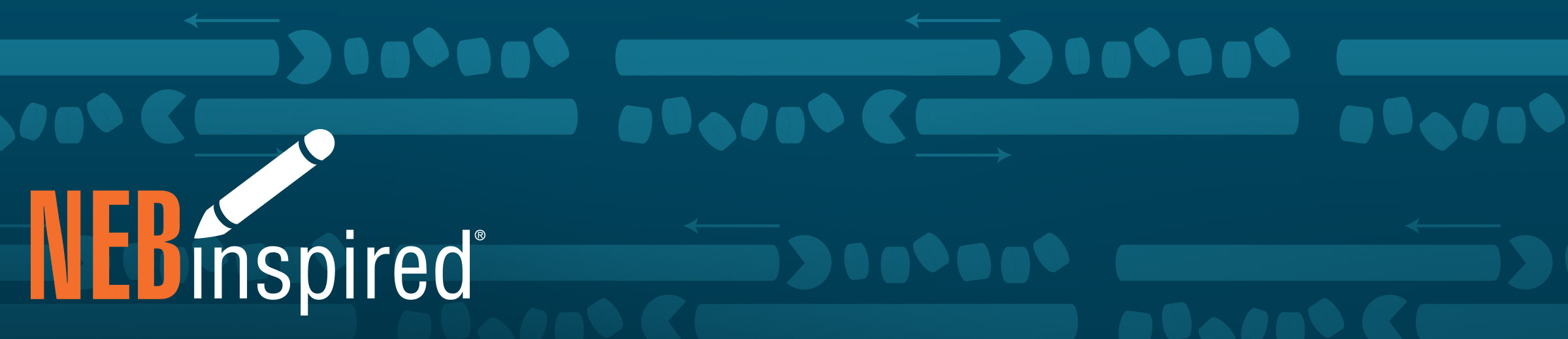 Banner graphic of illustrated exonucleases digesting nucleic acid. The NEBinspired logo is in the bottom left.