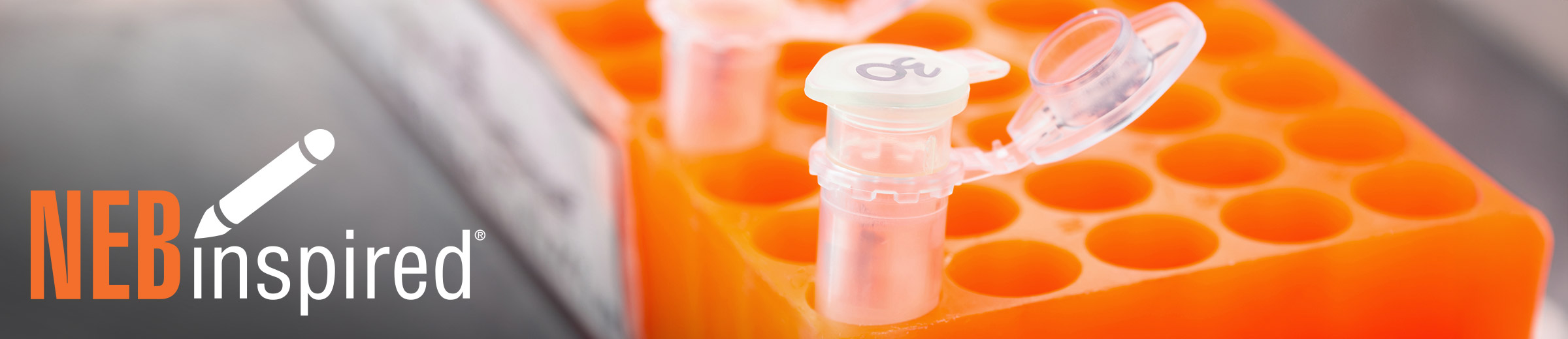 Close-up of test tubes in an orange rack with the NEBinspired logo