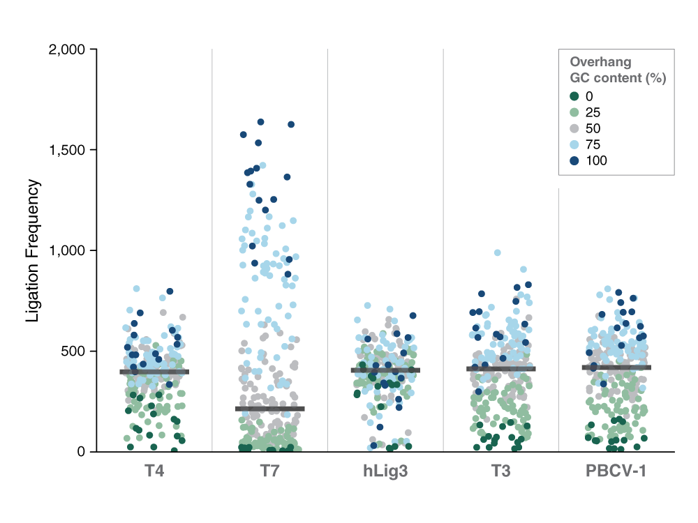 SMRT sequencing of ligation reactions with multiplex four-base overhang substrate with degenerative sequence and individual ligases shows how ligation bias impacts efficiency. Fig 1. Bilotti et al. Nucleic Acid Research  Each dot represents a different four base overhang