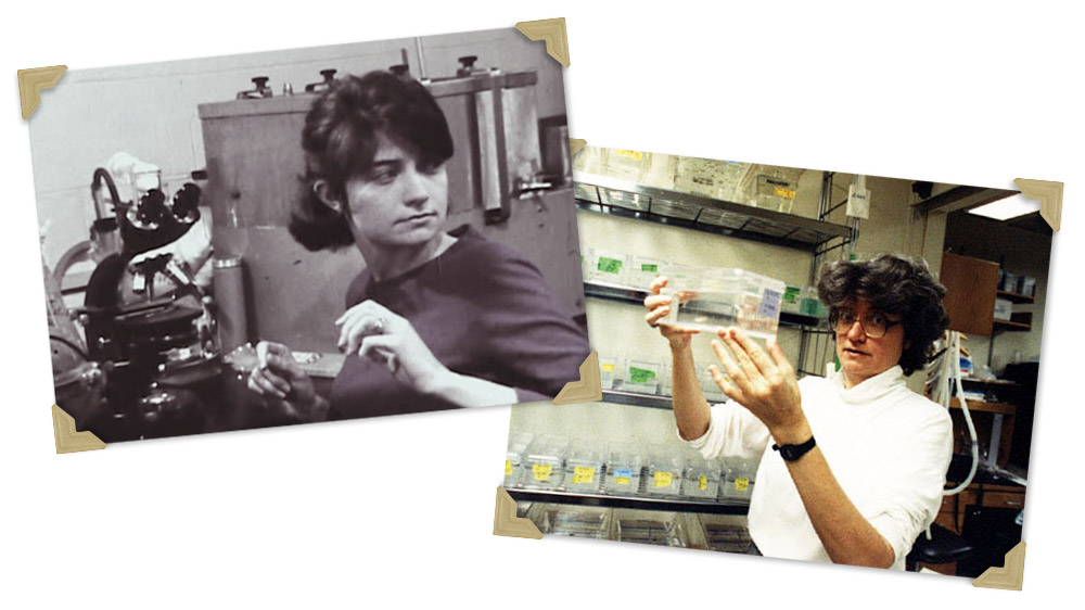 Nancy Hopkins as a student at Harvard and Principal investigator at MIT 