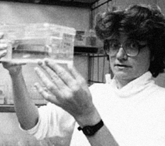 Nancy Hopkins Ph.D. Advocate for Women in STEM