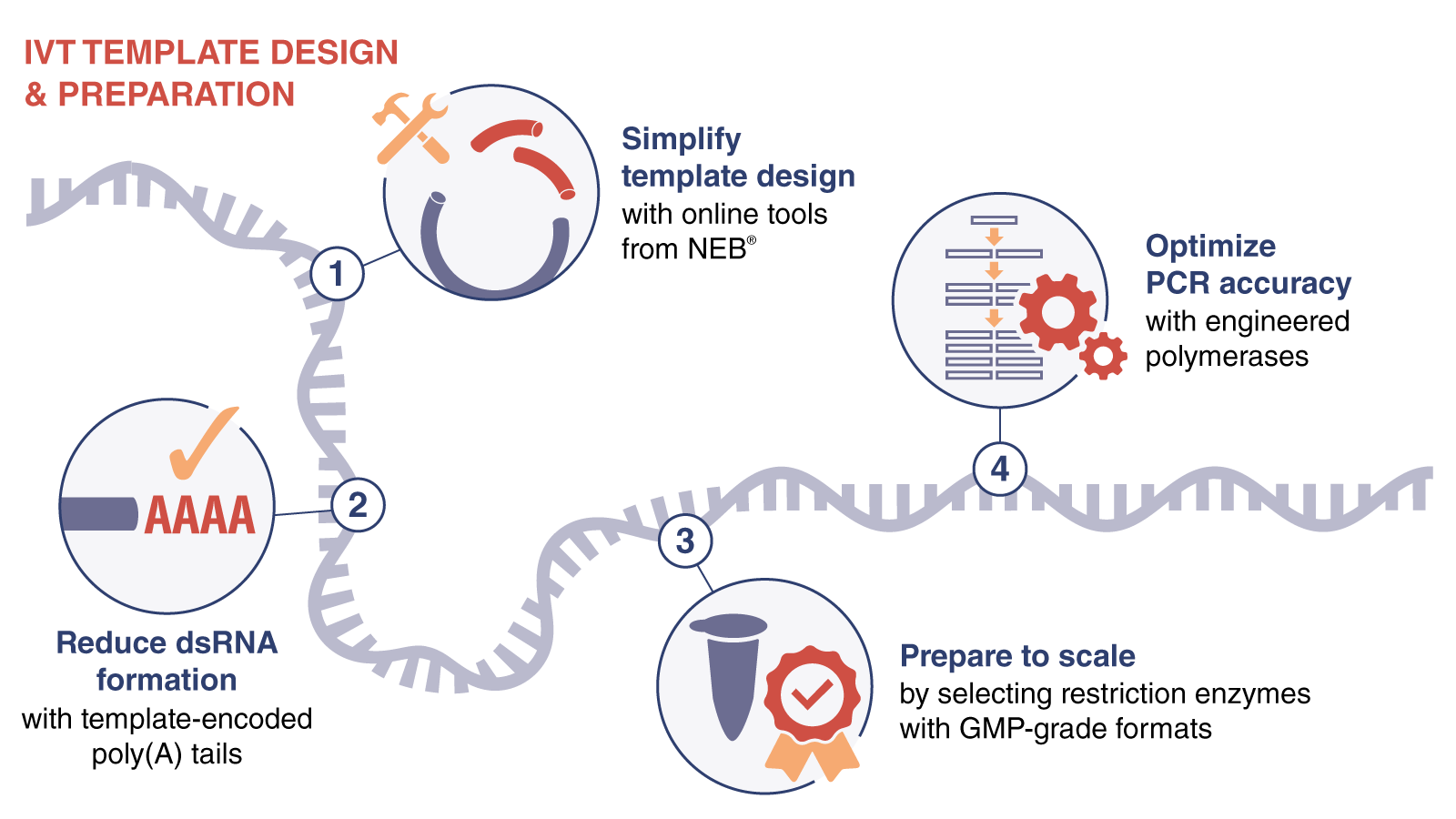 mRNA IVT Template mRNA manufacturing