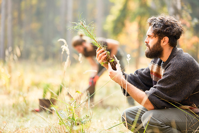 Forest workers control quality