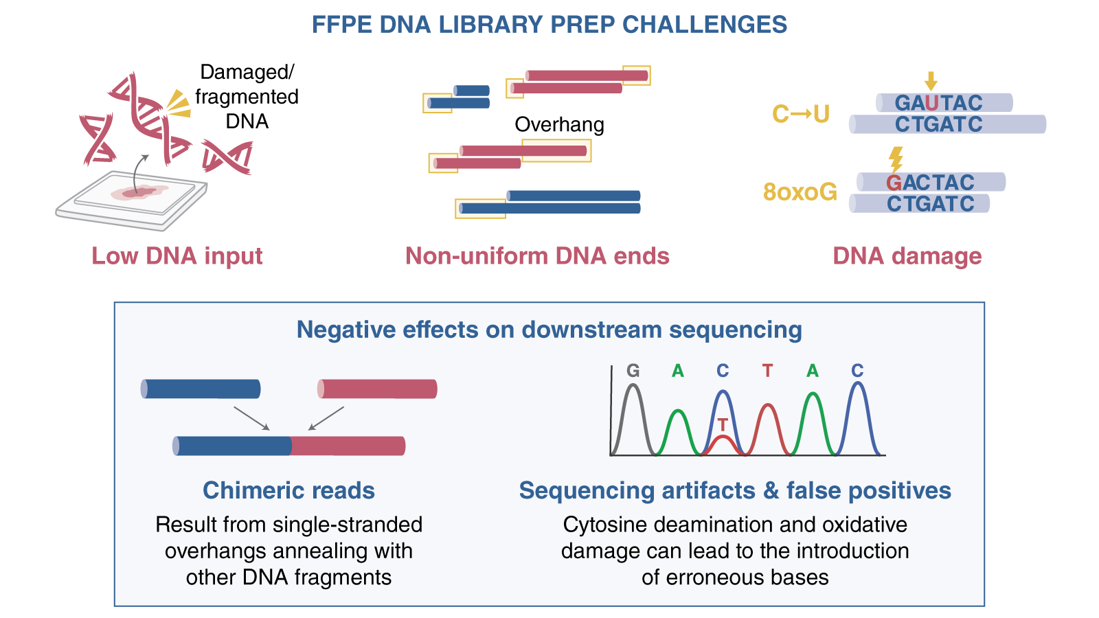 annotated infographic outlining challenges of work with FFPE DNA