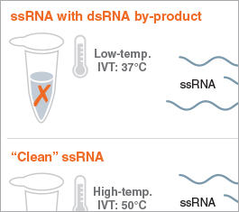 RNA_Blog_Thumb_0520