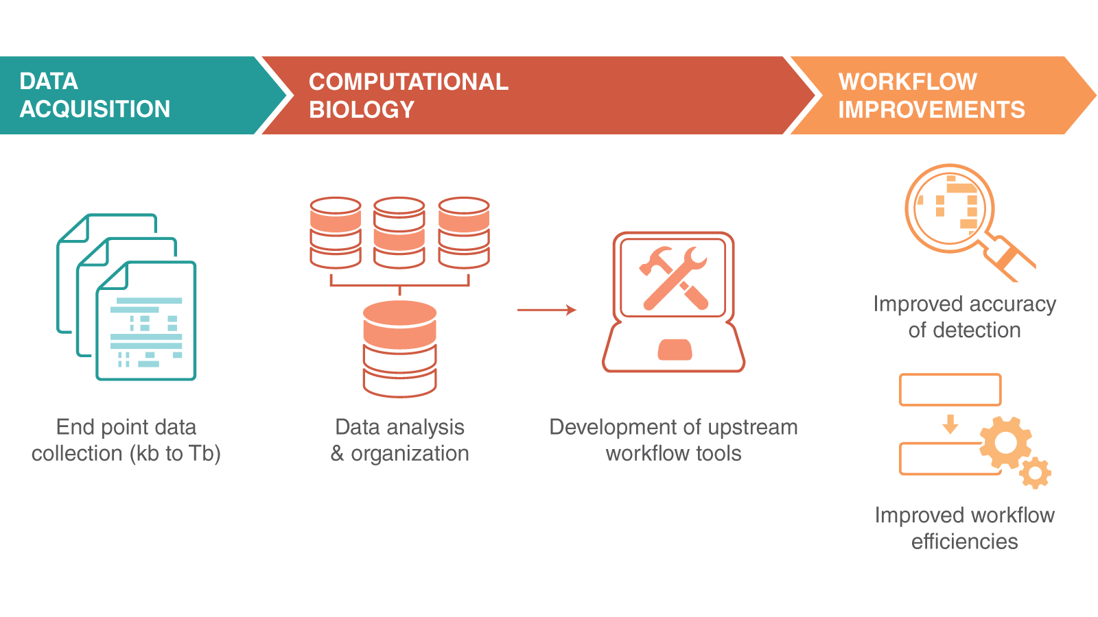 NEBinspired blog Bioinformatics inforgraphic