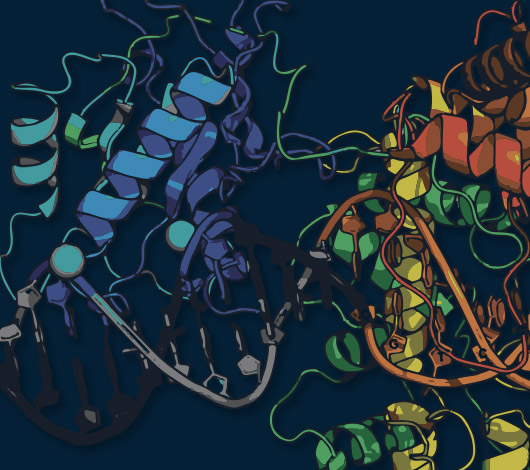 NEBinspired blog thumbnail stylized molecular rendering of enzyme bound to DNA