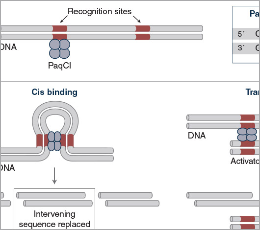 multi-site enzymes mechanism of action