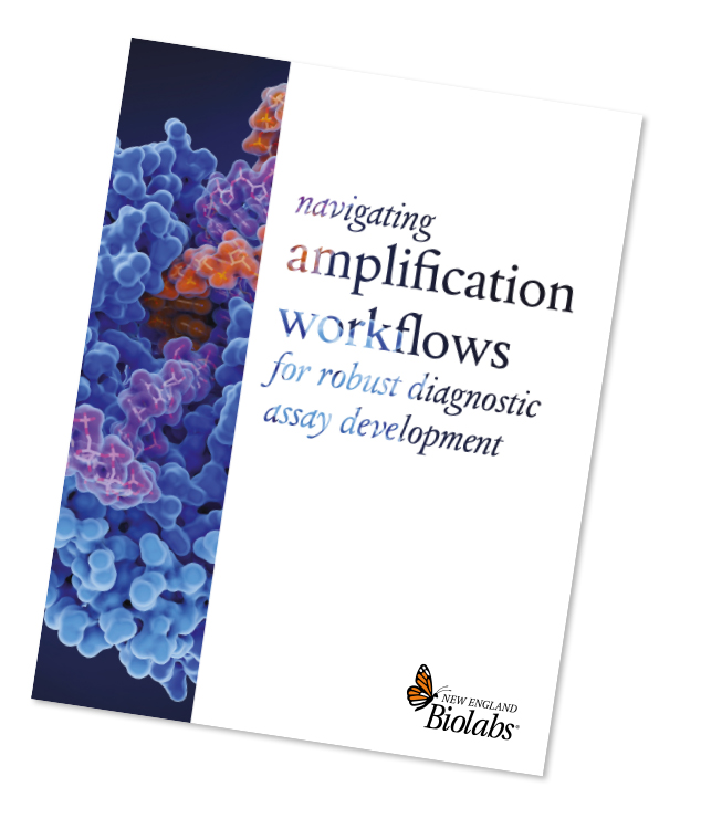 Cover of New England Biolabs eBook titled 'Navigating Amplification Workflows for Robust Diagnostic Assay Development' featuring a detailed molecular structure illustration