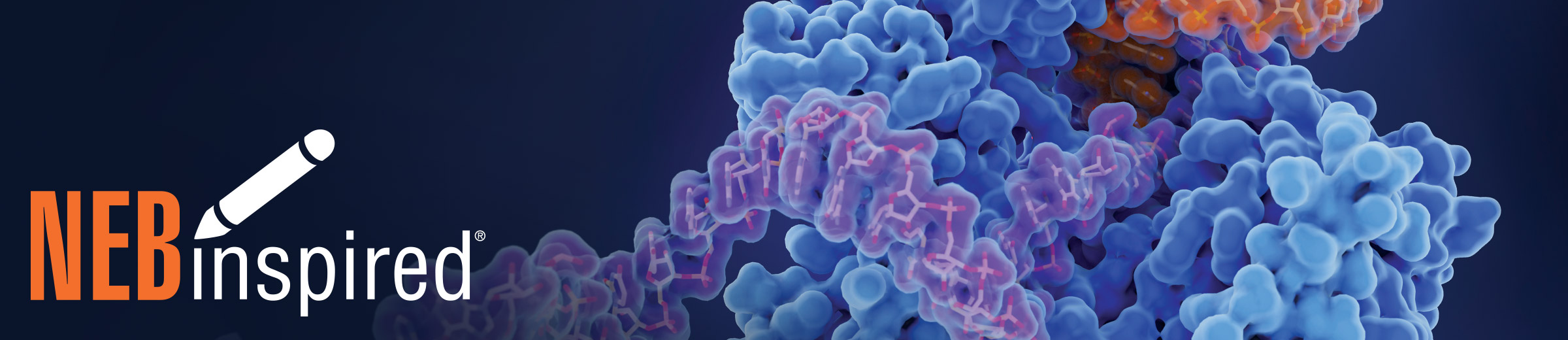 3D molecular illustration of DNA polymerase enzyme actively binding to a DNA strand, highlighting enzyme structure and function in genetic replication.