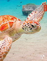 Catalog