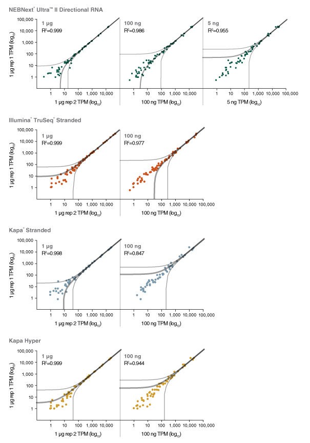 Dir_RNA_Complexity_Figure3