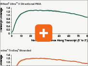 Dir_RNA_FFPE_thumb7
