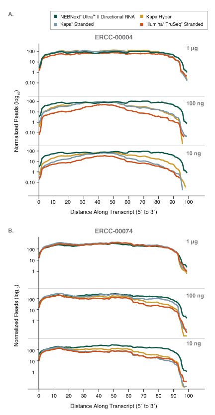 Dir_RNA_Transcript_Figure7