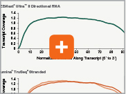Dir_RNA_Transcript_thumb1