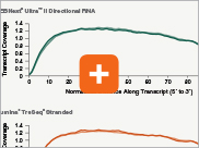 Dir_RNA_Transcript_thumb2