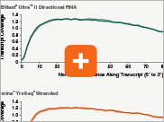 Dir_RNA_Transcript_thumb3