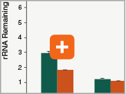 Nondir_RNA_Libraries_thumb5