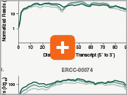 Nondir_RNA_Transcript_thumb3