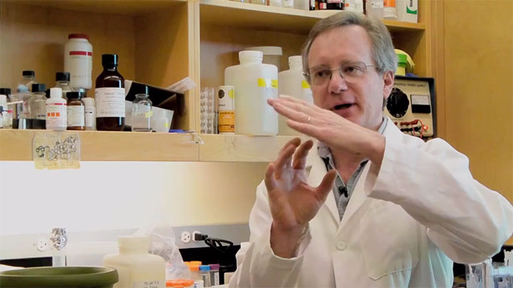What Does Epigenetics Have to Do with Honeybees?