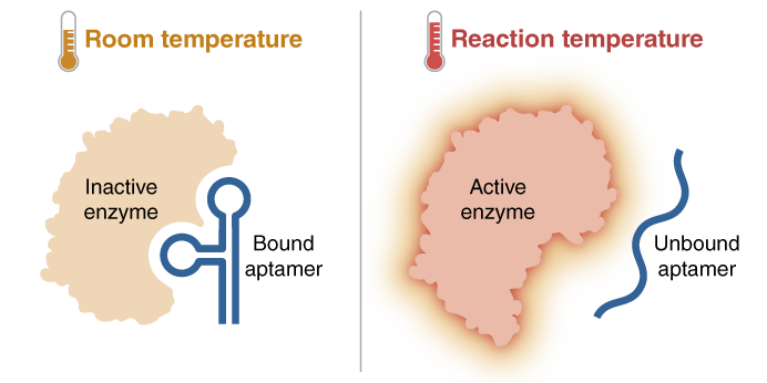 Image showing room temperature and reaction temperature