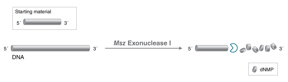 M0527 Mechanism