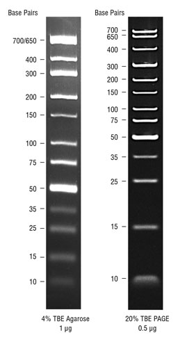 TriDye™ Ultra Low Range DNA Ladder
