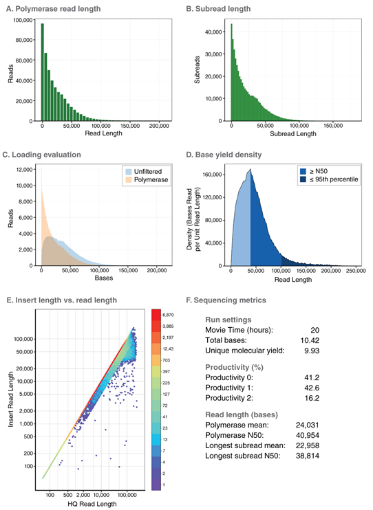 Monarch_HMW_PacBio_30to60_1020