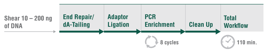 Workflow diagram